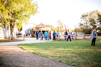 VI. Reception